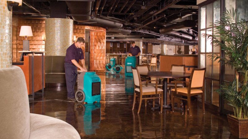 Attributes of the Competent Companies Which Offer Water Damage Restoration Services