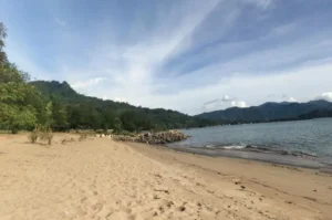 Exotic Beaches in Padang That You Must Visit for a Fun and Enchanting Vacation